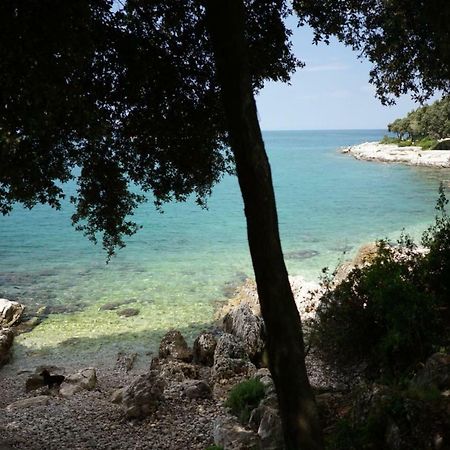 Guesthouse Galeb Orsera Esterno foto