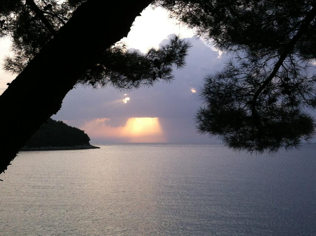 Guesthouse Galeb Orsera Esterno foto