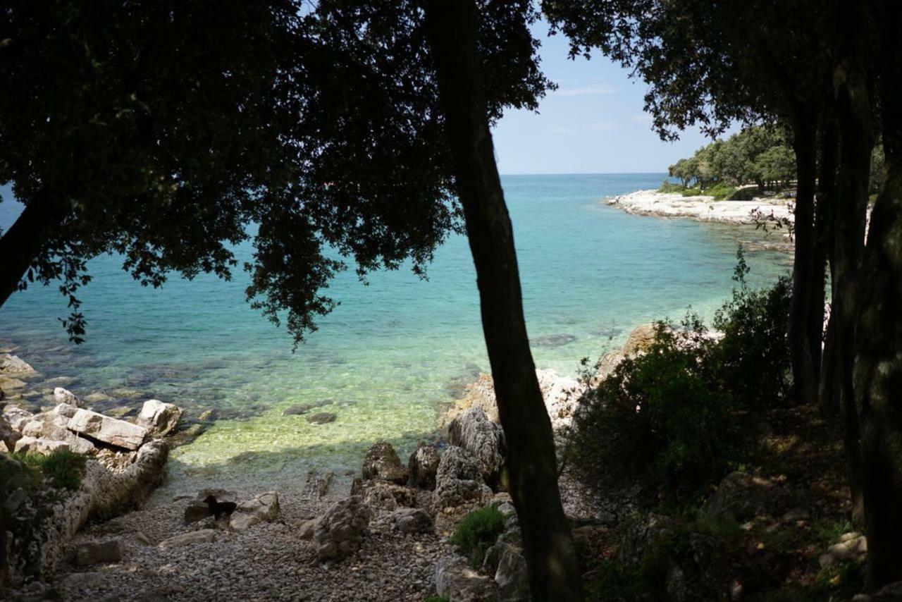 Guesthouse Galeb Orsera Esterno foto